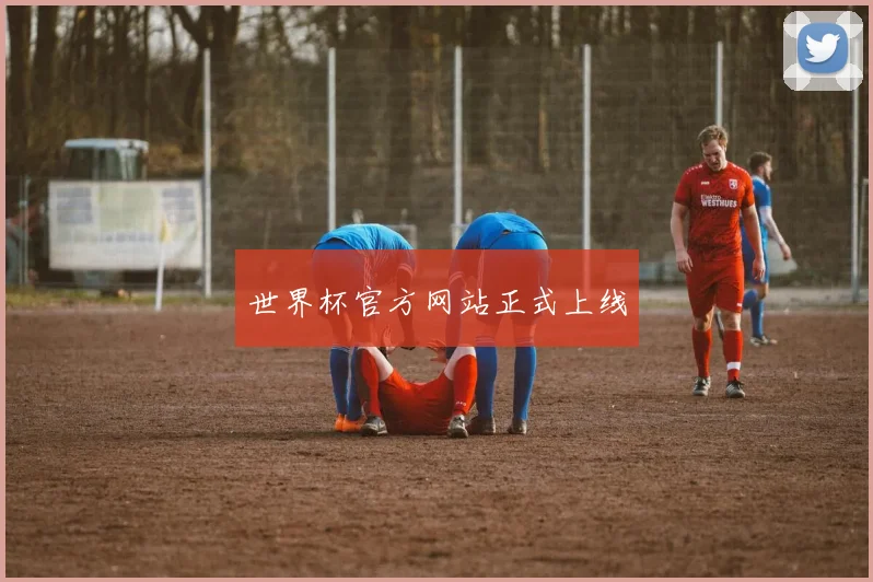 世界杯官方网站正式上线