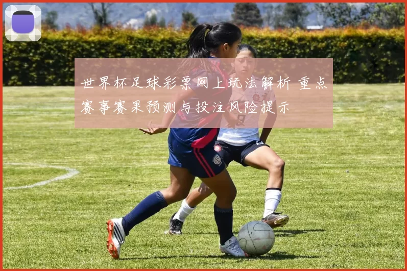 世界杯足球彩票网上玩法解析 重点赛事赛果预测与投注风险提示