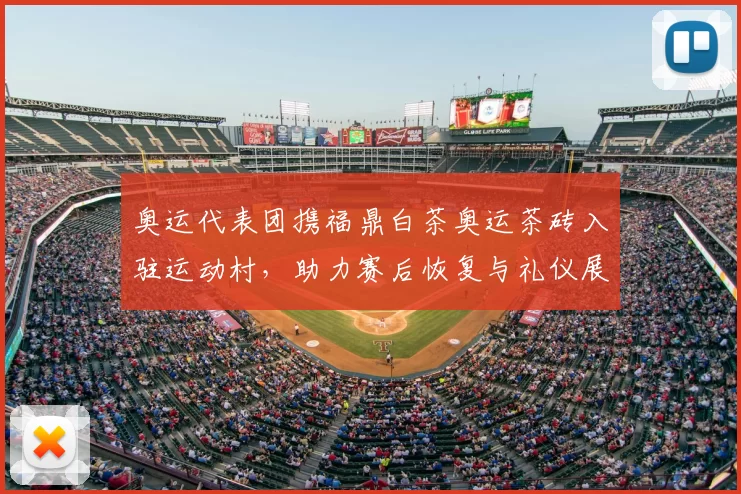 奥运代表团携福鼎白茶奥运茶砖入驻运动村，助力赛后恢复与礼仪展示
