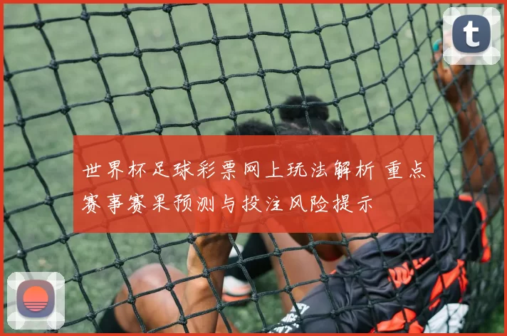 世界杯足球彩票网上玩法解析 重点赛事赛果预测与投注风险提示