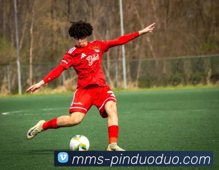 MK体育·(china)官方网站 - MK SPORTS全站App